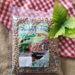 Semilla de cilantro (Coriandro)